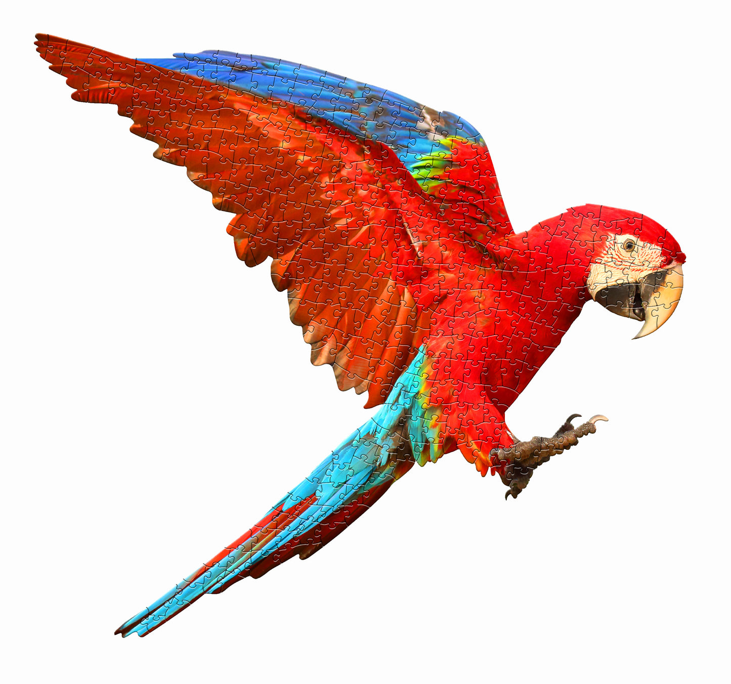 I Am Parrot 300pc Puzzle