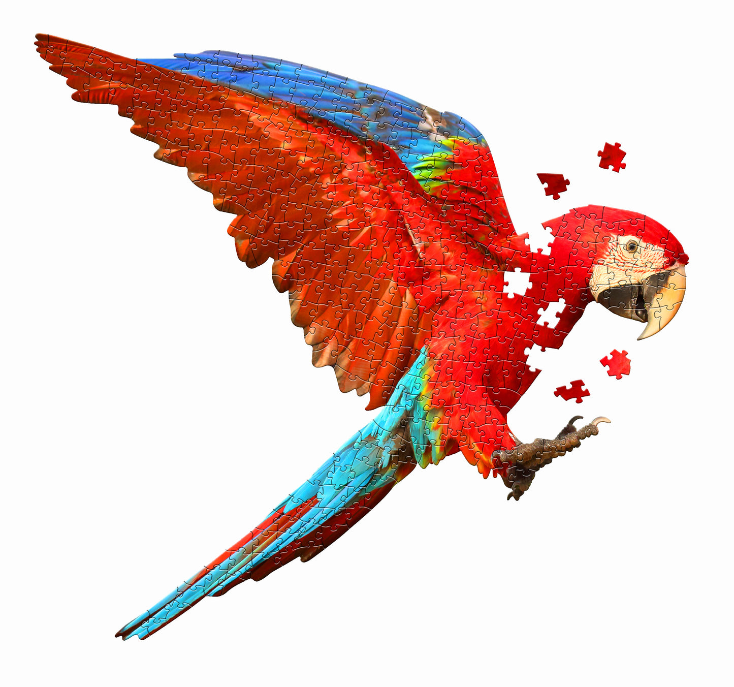 I Am Parrot 300pc Puzzle