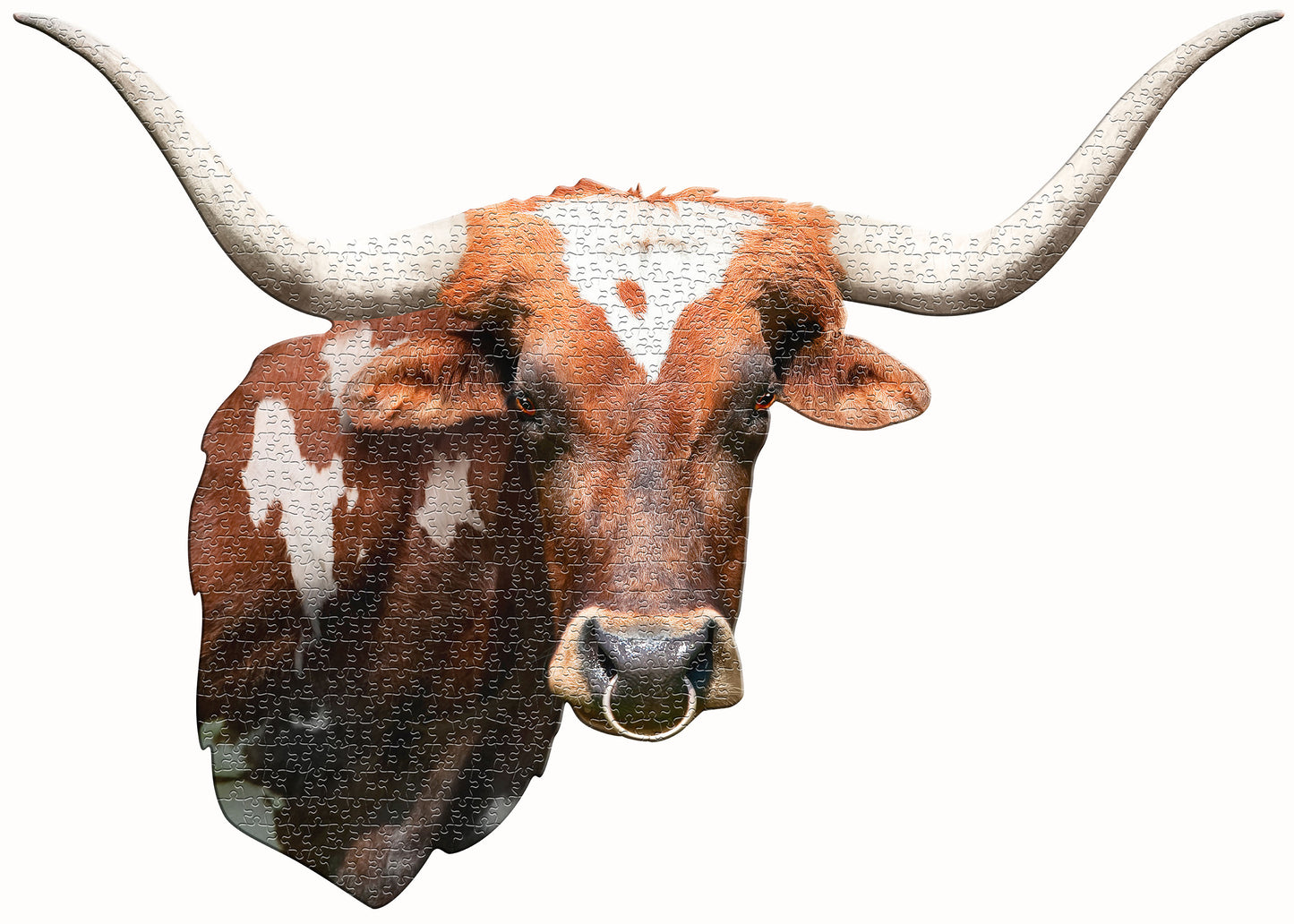 I Am Longhorn 550pc Puzzle