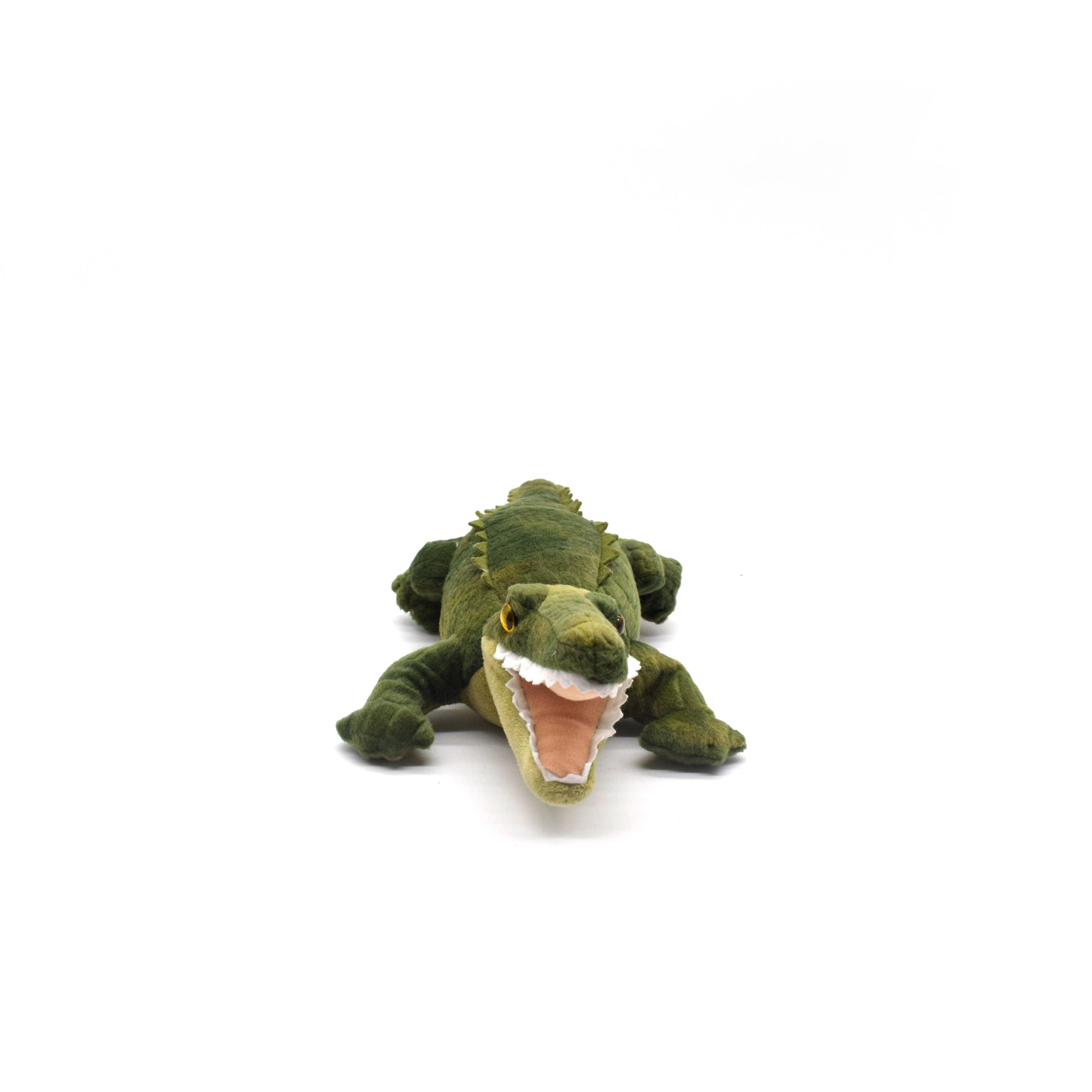 Alligator 8in