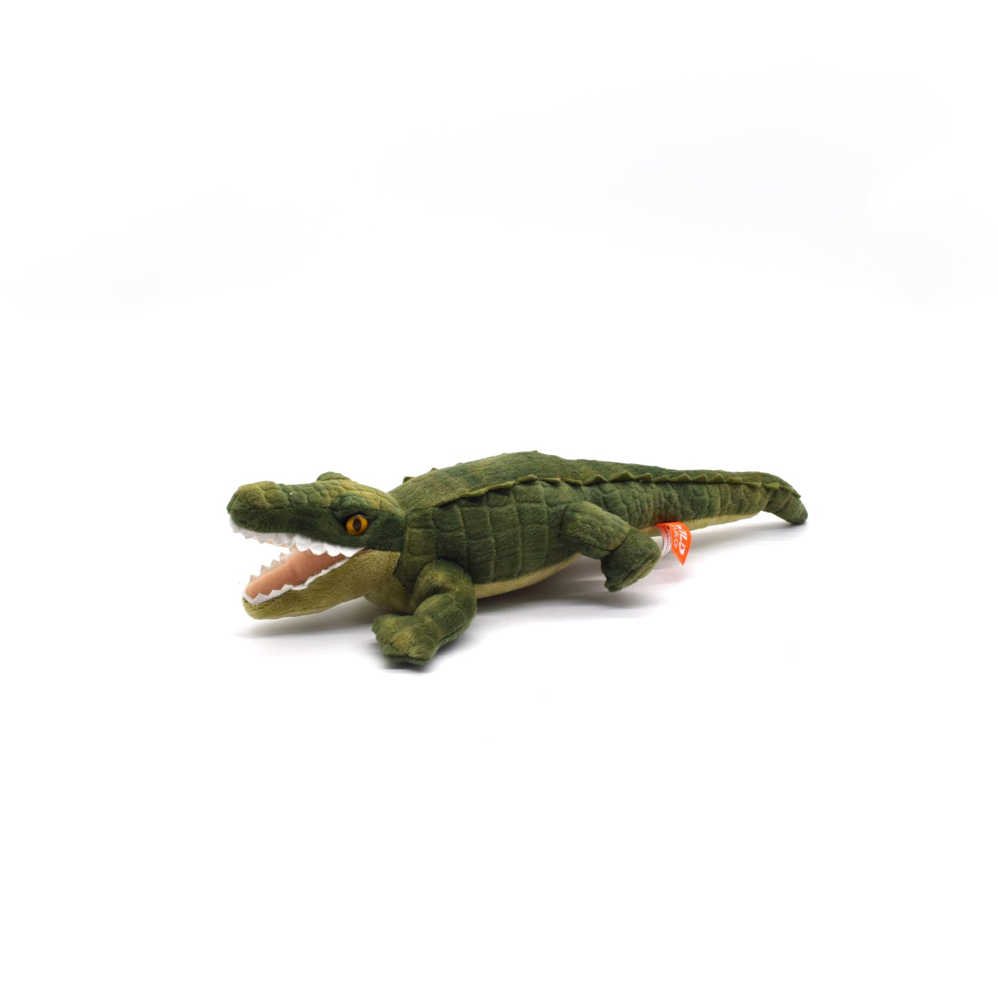 Alligator 8in