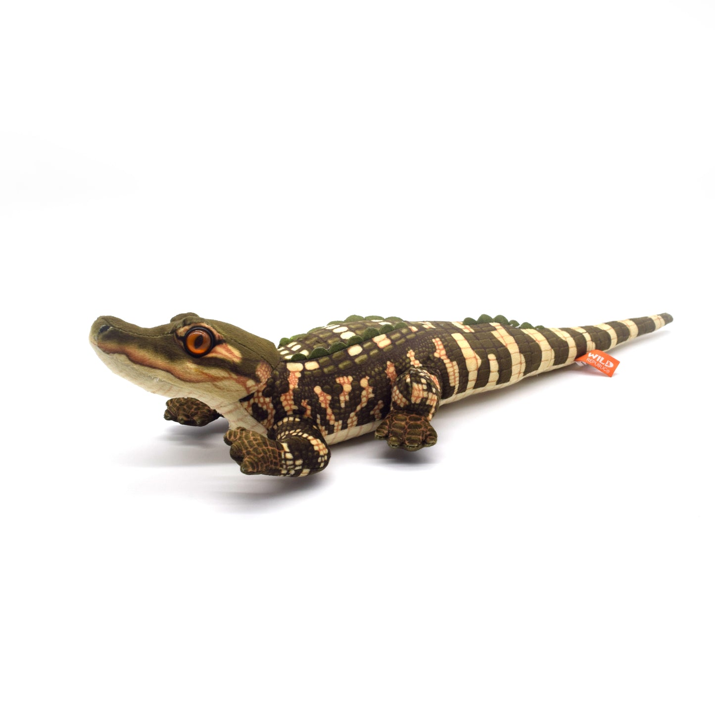 Alligator Baby Living Stream