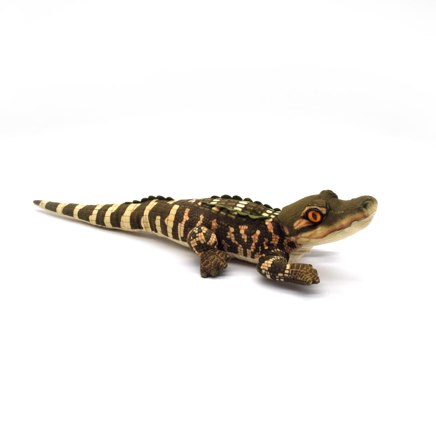 Alligator Baby Living Stream