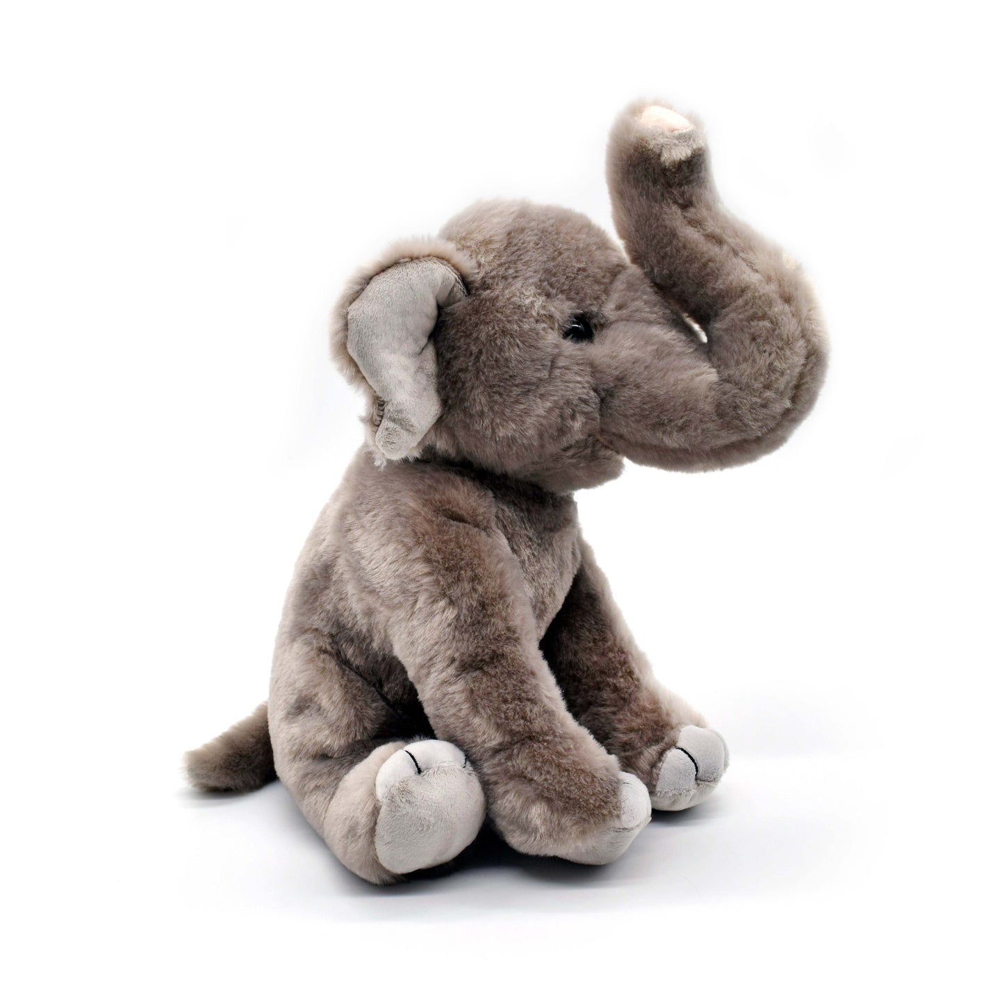 Elephant Asian 12in