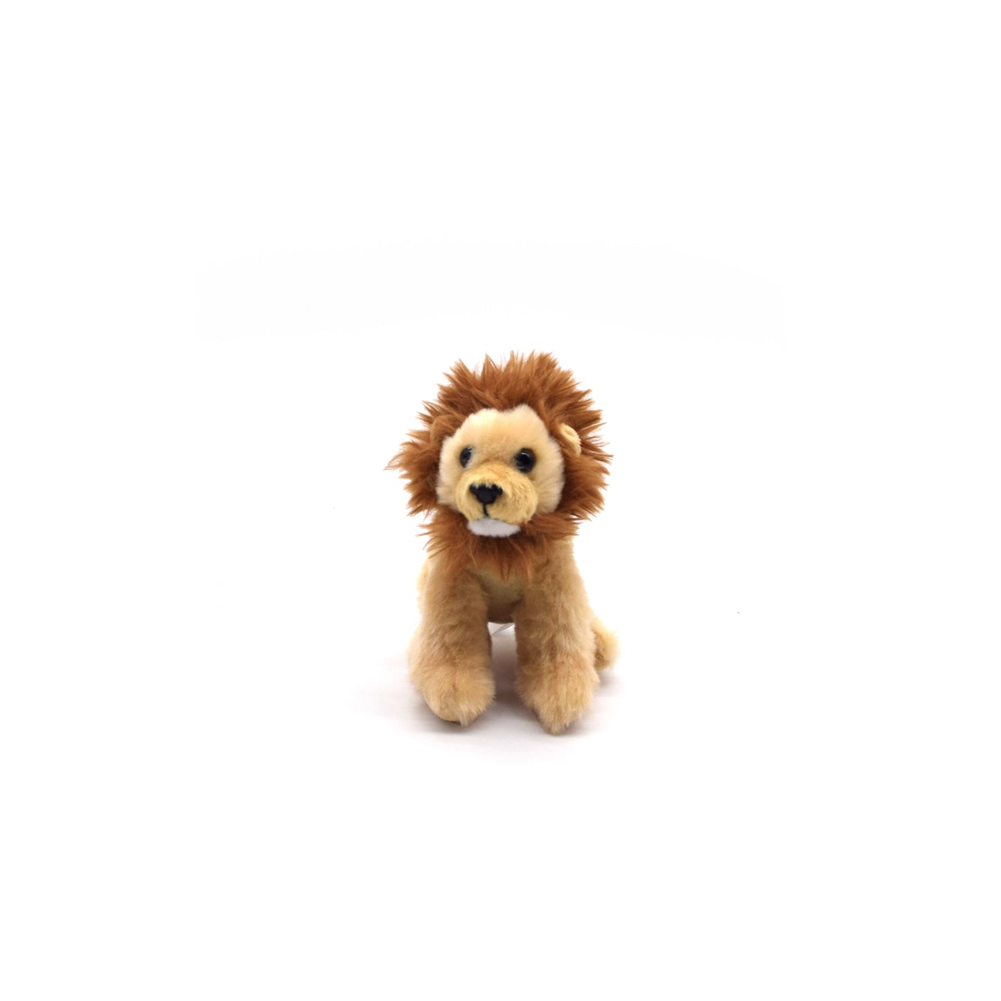 Lion Wild Onez 6in