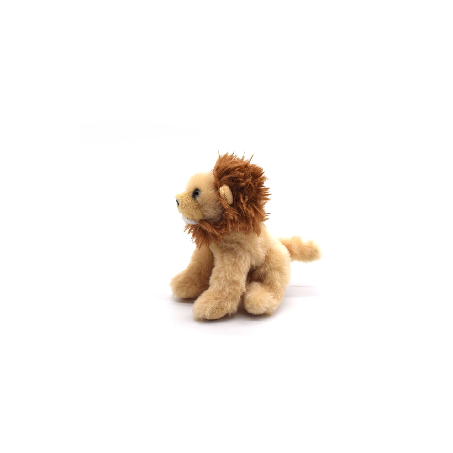 Lion Wild Onez 6in