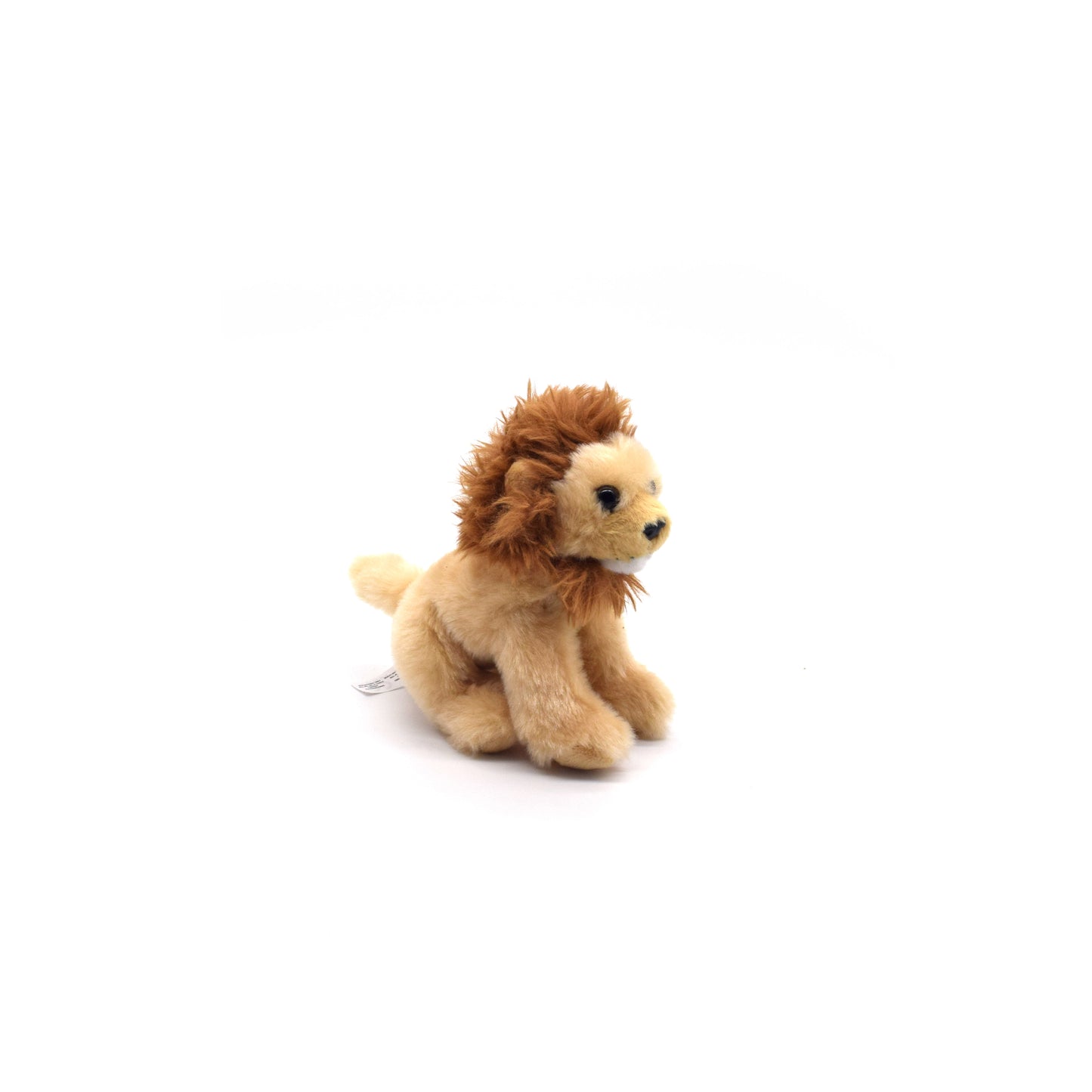 Lion Wild Onez 6in