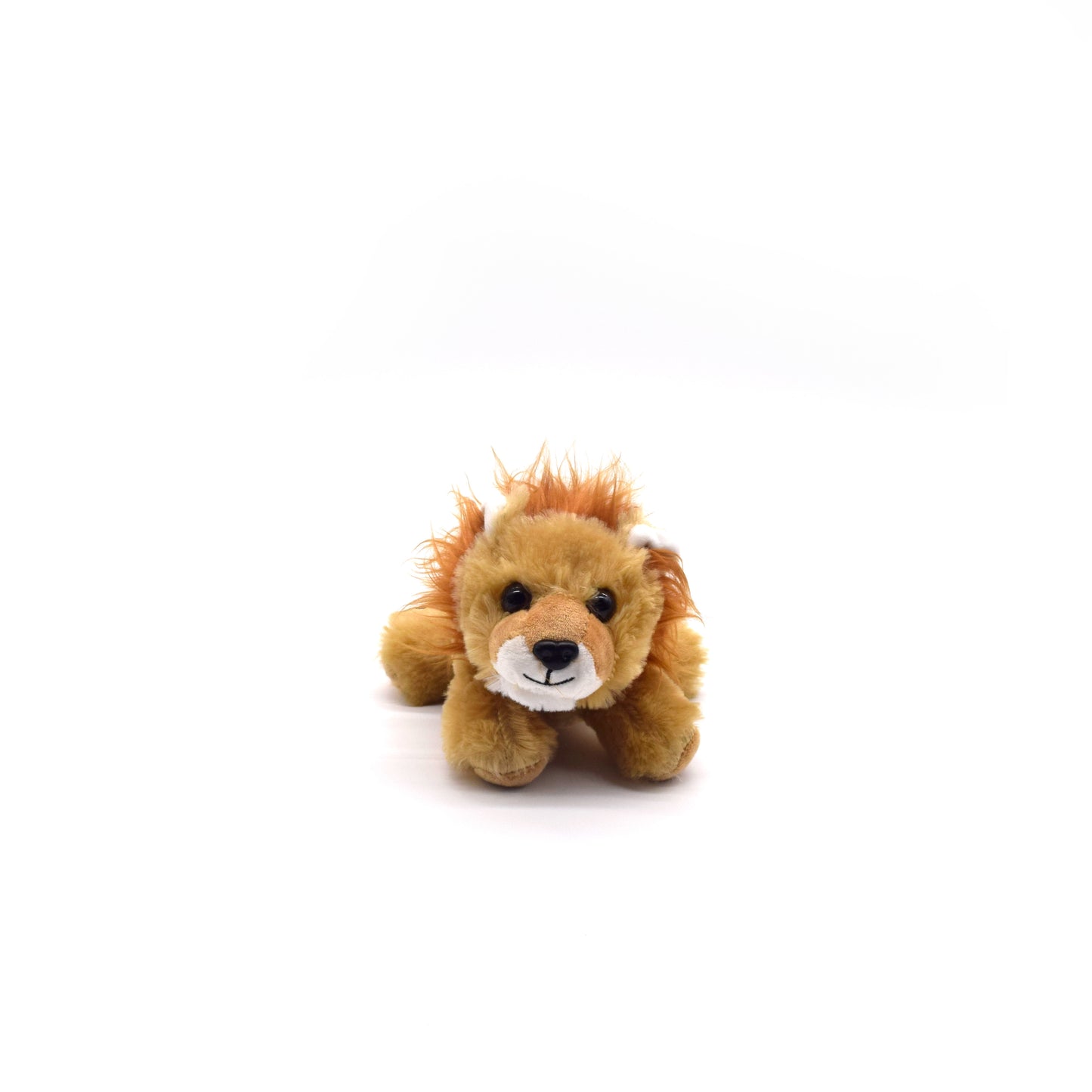 Lion Hug Ems 7in