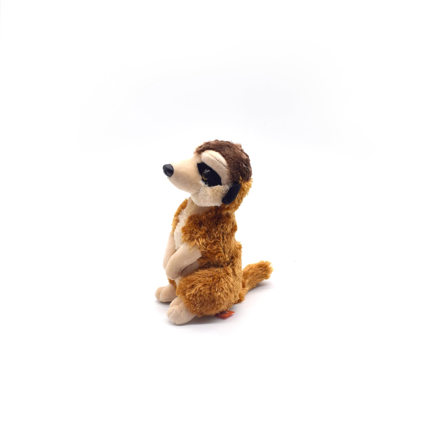 Meerkat 8in