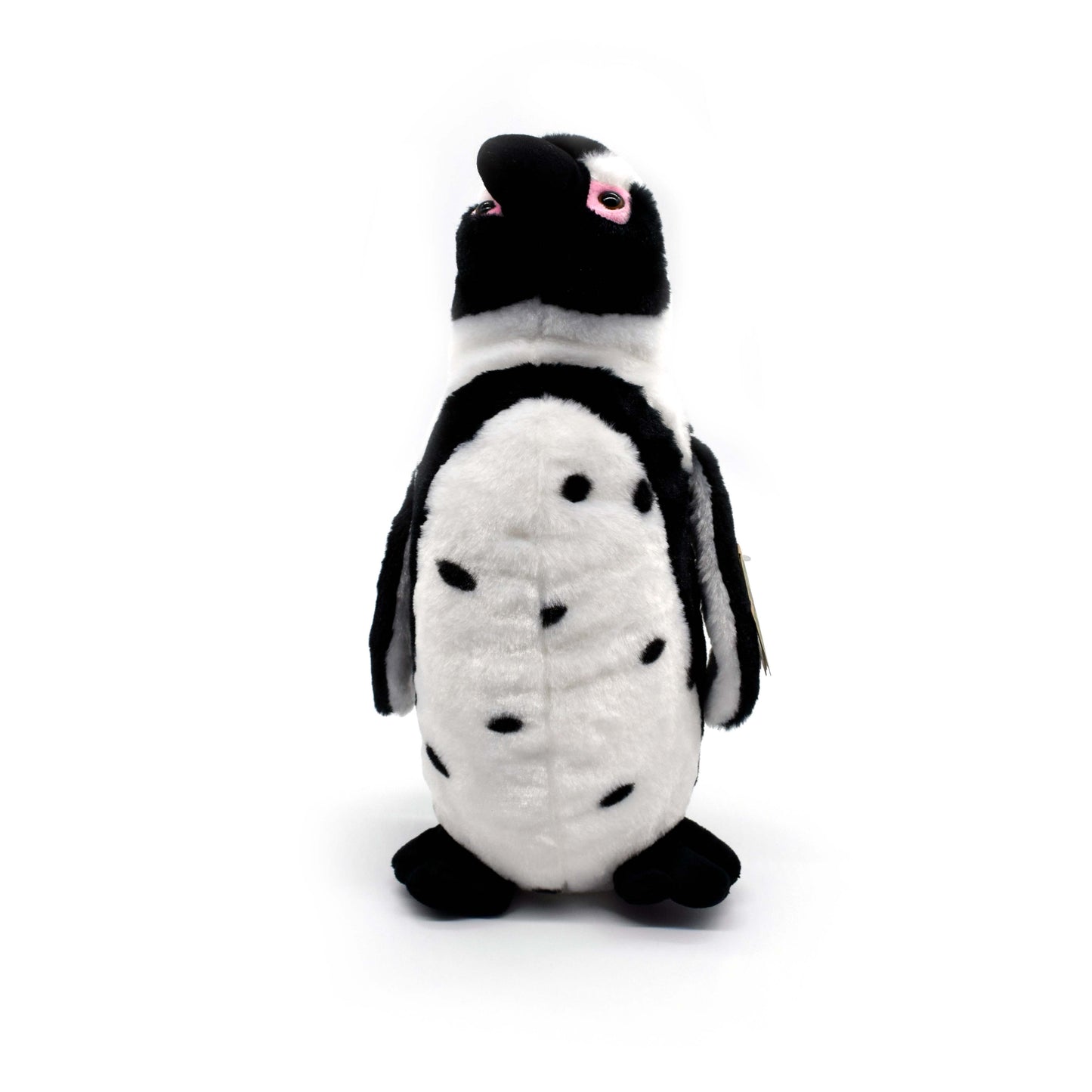 Penguin ABF Wild Onez 12in