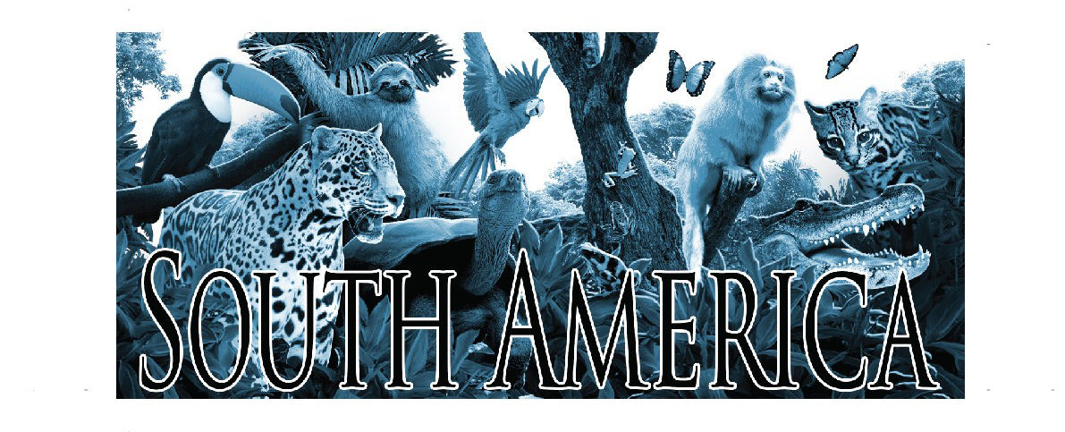 Animals of South America Shot Glass