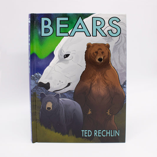 Bears Graphic Novel