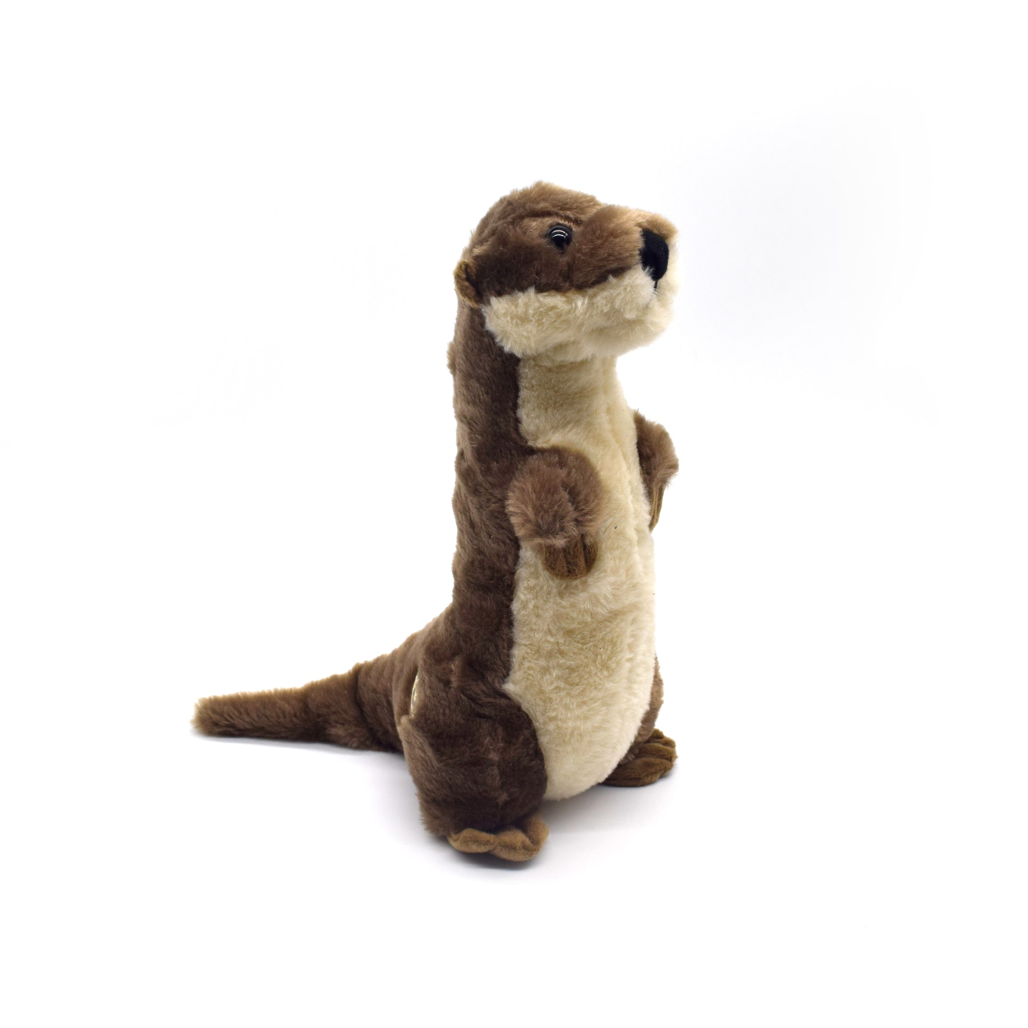 River Otter Standing Wild Onez – Fort Worth Zoo