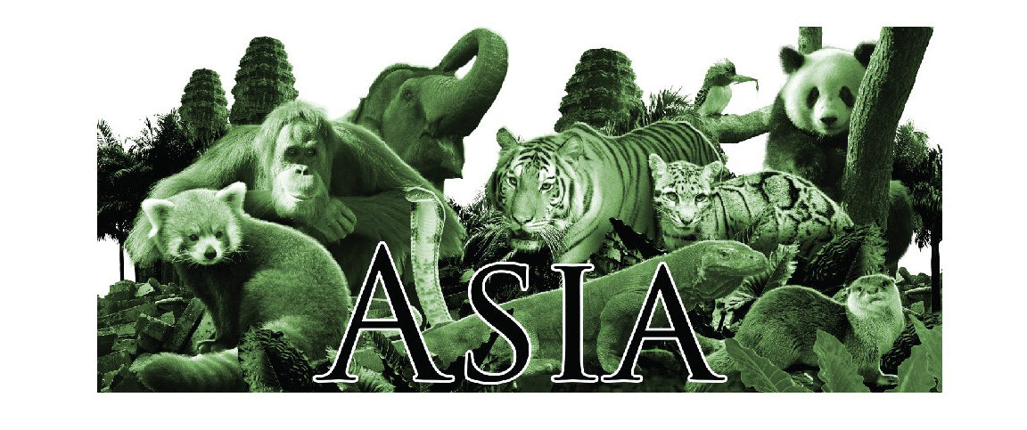 Animals of Asia Shot Glass